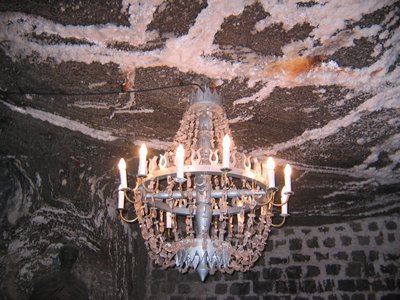 IMG_1682.jpg