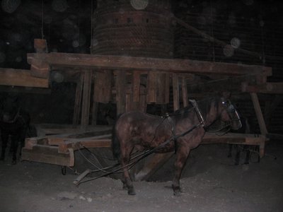 IMG_1688.jpg