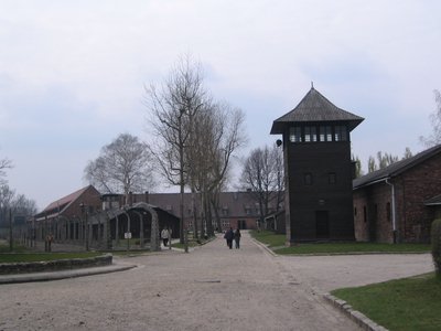 IMG_1718.jpg