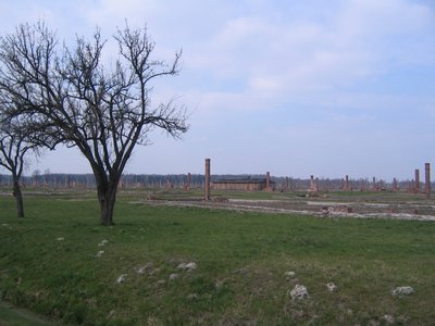 IMG_1726.jpg