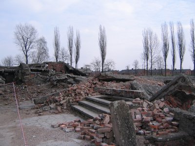 IMG_1729.jpg