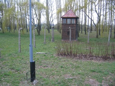 IMG_1732.jpg