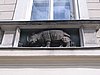 IMG_1676.jpg
