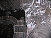 IMG_1683.jpg
