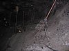 IMG_1686.jpg