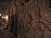 IMG_1693.jpg