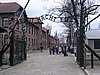 IMG_1705.jpg
