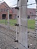 IMG_1706.jpg