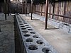 IMG_1722.jpg
