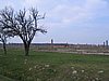 IMG_1726.jpg