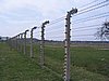 IMG_1727.jpg