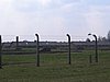 IMG_1728.jpg