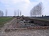 IMG_1733.jpg