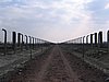 IMG_1736.jpg