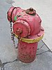 IMG_0367.JPG