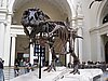 IMG_0383.JPG