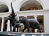 IMG_0384.JPG