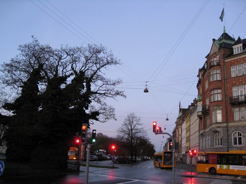 IMG_1435.JPG