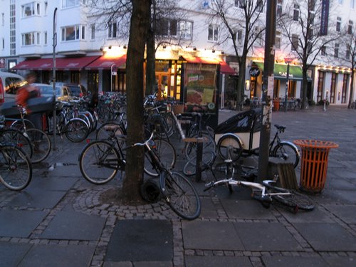 IMG_1441.JPG