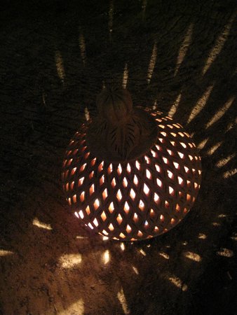 IMG_1483.JPG