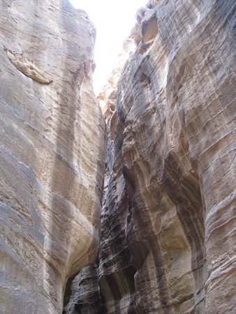 IMG_1519.JPG