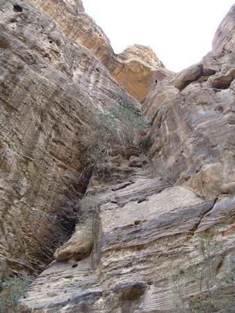 IMG_1520.JPG