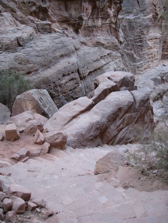 IMG_1576.JPG