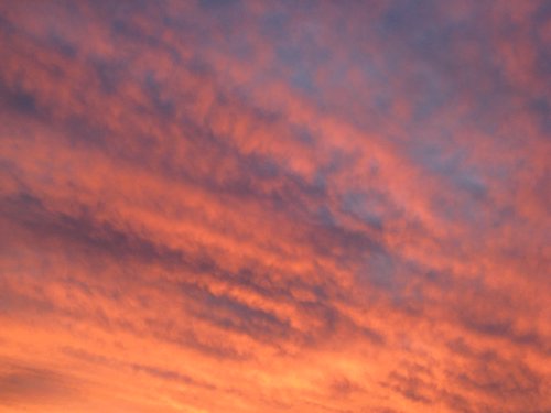 IMG_1700.JPG