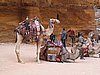 IMG_1533.JPG