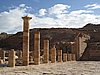 IMG_1558.JPG