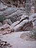 IMG_1576.JPG