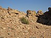IMG_1581.JPG