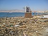 IMG_1633.JPG