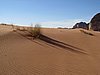 IMG_1639.JPG