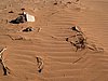IMG_1640.JPG