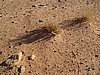 IMG_1666.JPG
