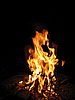 IMG_1706.JPG