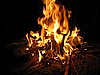 IMG_1709.JPG