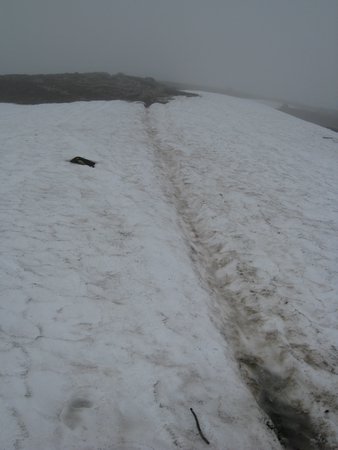 IMG_0664.JPG