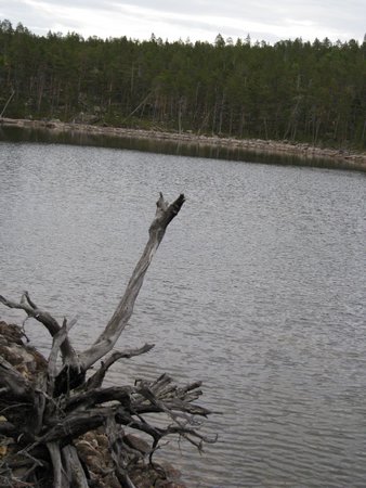 IMG_0717.JPG