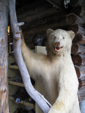 IMG_0722.JPG