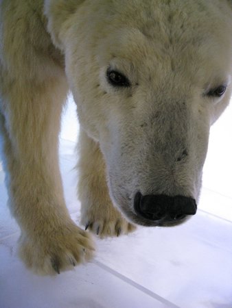 IMG_0737.JPG