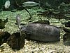 IMG_0647.JPG