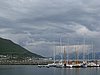 IMG_0648.JPG