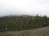IMG_0657.JPG