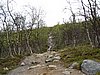 IMG_0658.JPG