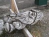 IMG_0666.JPG