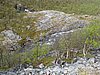 IMG_0671.JPG