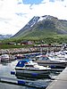 IMG_0684.JPG
