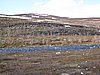 IMG_0691.JPG